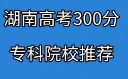 文科300分左右的好大专