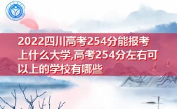 254分可以上什么学校