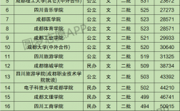 成都公办二本学校