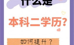 本科生如何考取第二学历(张雪峰说二学历有用吗)