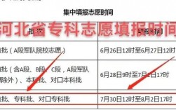 大专志愿怎么填报比较稳妥