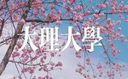 大理大学研究生官网yjsc.dali.edu.cn