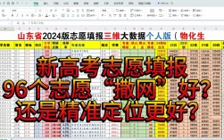 新高考96个志愿怎么填报