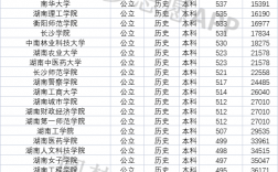 湖南公办二本最低分