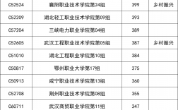 湖北技能高考多少分上大专