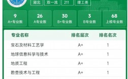 中国地质大学在211排名如何？具体情况如何？