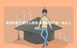 使用权资产是什么意思(使用权资产是一年以上的么)