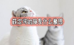 薛定谔的猫是什么意思梗