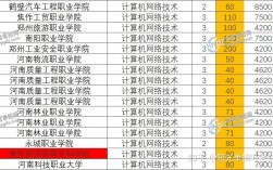 河南省计算机专业学校排名如何？哪些学校更具实力？