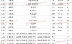 滨州医学院2024录取分数线