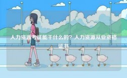 人力资源考证能干什么的？人力资源从业资格证书