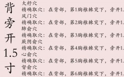 自学中医从哪里入门