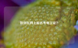 如何在网上报名考电工证？