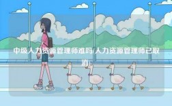 中级人力资源管理师难吗(人力资源管理师已取消)