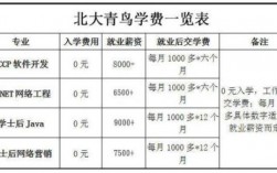 北大青鸟课程价格(深圳北大青鸟学费一览表)