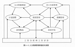 人力资源管理的职能有哪些(人力资源管理数字化)