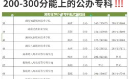 300分左右的大专学校(300分稳上的公办大专有哪些)