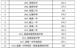 临泉高铁中学录取分数线