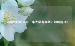 湖南较好的公办二本大学有哪些？如何选择？