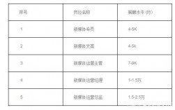 全媒体运营师薪酬(运营师是干嘛的)