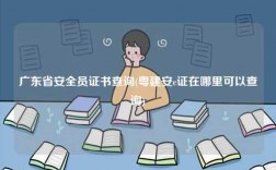 广东省安全员证书查询(粤建安c证在哪里可以查询)