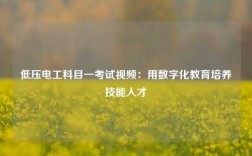 低压电工科目一考试视频：用数字化教育培养技能人才