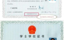 毕业后还能申请学士学位吗(没有学士学位可以申请硕士学位吗)