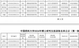 中国药科大学研究生报考服务系统（https://yjszs.cpu.edu.cn/）