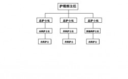 护士长是什么级别