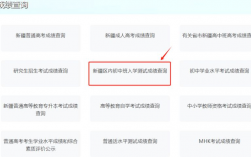 内初班考试成绩怎么查