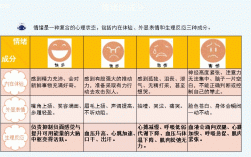 情绪的功能有(四种功能分别是)