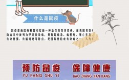 预防医学是干什么的(预防医学专业就业方向)