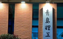 山东专升本最好的大学