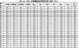 大学生仰卧起坐一分钟做多少个合格