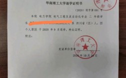 大学退学后还能参加自考本科吗