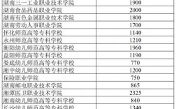 湖南单招大专学校有哪些？如何申请入学？