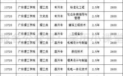 华南理工大学广州学院学费