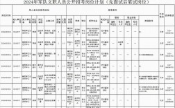 安徽省部队文职2024招考岗位