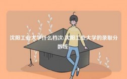 沈阳工业大学什么档次(沈阳工业大学的录取分数线)