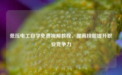 低压电工自学免费视频教程，提高技能提升职业竞争力