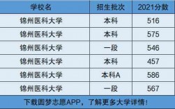 锦州医科大学是一本还是二本