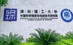 深圳理工大学是985.211吗(深圳理工大学录取条件)