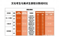 美术220文化350能上什么大学