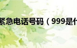 999是什么电话号码