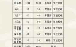 正规驾校学车要多少钱