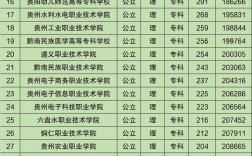 贵州专科学校排名(贵州双一流大专排名)