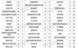 中南大学王牌专业