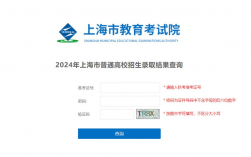 上海市教育考试院官网入口（https://www.shmeea.edu.cn）