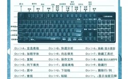 做文员的基本电脑操作应该学什么