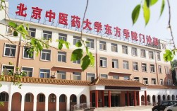 北京中医药大学东方学院怎么样(民办最好的中医药大学)